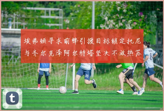 埃弗顿寻求前锋引援目标锁定托尼与齐尔克泽阿尔特塔坚决不放热苏斯