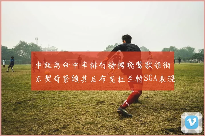 中距离命中率排行榜揭晓莺歌领衔东契奇紧随其后布克杜兰特SGA表现不俗