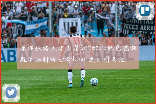 康涅狄格大学专属Kobe5PE配色亮相鞋舌独特哈士奇Logo设计引关注